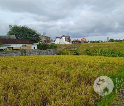 5 Are land, For lease