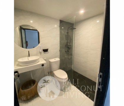 Brisago Apartment Pererenan
