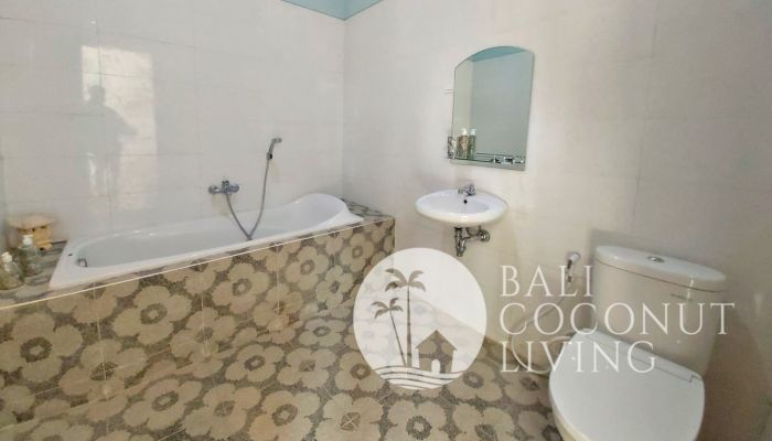 Villa Pineapple 2 Slider