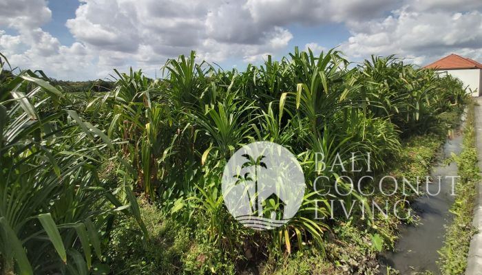 26 Are Land for lease Slider