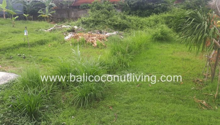 Land For Lease Umalas 3 are Slider