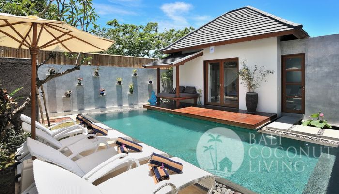 Villa Roy Slider