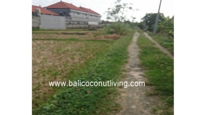 Land For Lease Berawa 2500 sqm Slider