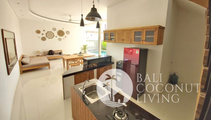 Villa Pineapple 2 Slider