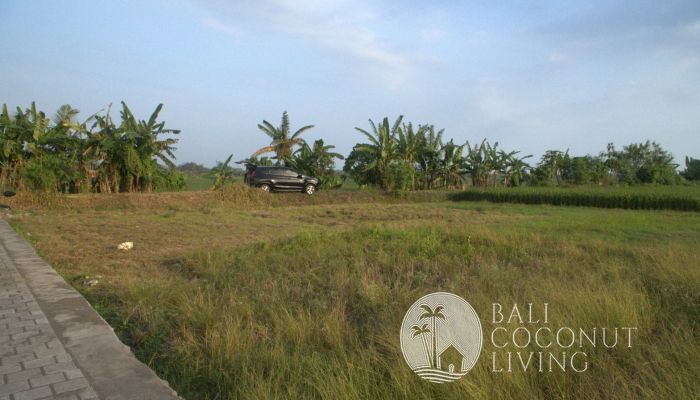 5 Are Land In Tabanan Slider