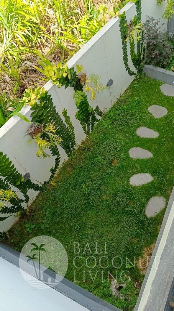 Rumah Cerita Bali Coconut Living Property