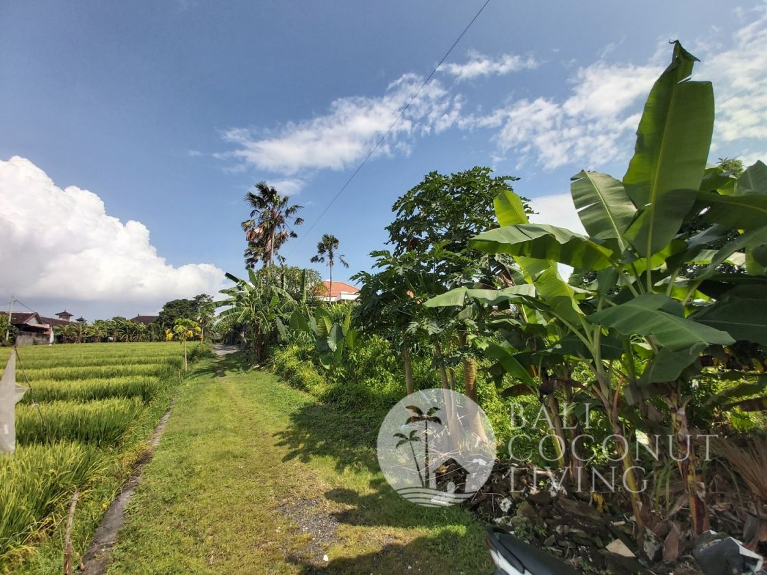 View of Land For Sale 400 Sqm | Bali Coconut Living Property