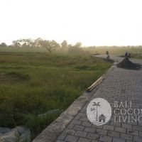 5 Are Land In Tabanan Gallery