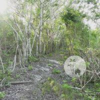 16.5 Are, Land for Sale Gallery