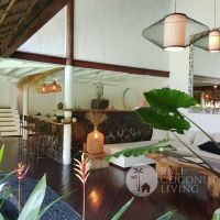 Eco Haven Villa Gallery