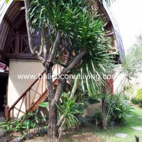 Villa Sunrise Gallery