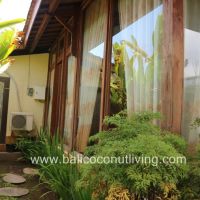 Villa Banana 1 Gallery