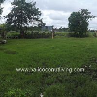 Land on Pererenan Gallery