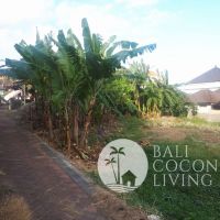 Villa Sanjaya 1 Gallery