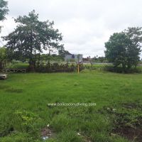 Land on Pererenan Gallery