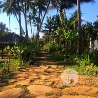 Coco Breeze Villa Gallery