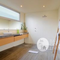 Alexandria Apartment Gallery