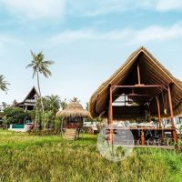 Villa Lakopa Gallery