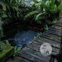 The Vintage House Gallery