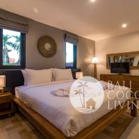 Leo Apartment Gallery