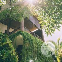 Villa Imut Gallery