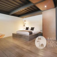 Alexandria Apartment Gallery