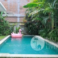 Villa San Miguel Gallery