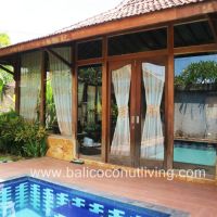Villa Banana 1 Gallery