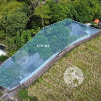675 Sqm Land For Sale - Pererenan Gallery