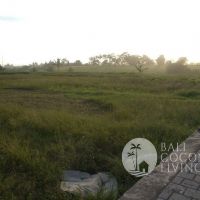 5 Are Land In Tabanan Gallery