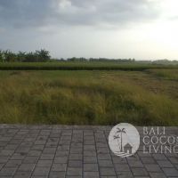 5 Are Land In Tabanan Gallery