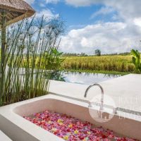 Honey Moon Villa  Gallery
