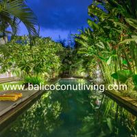 Villa White Peacock  Gallery