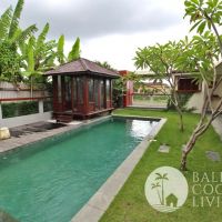 Villa Bagus Gallery