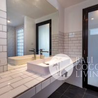 Leo Apartment Gallery