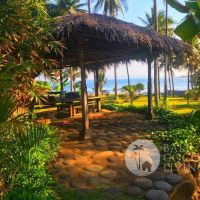 Coco Breeze Villa Gallery