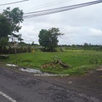 Land on Pererenan Gallery