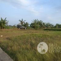 5 Are Land In Tabanan Gallery