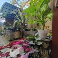 Rumah Cooper Gallery