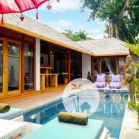 Villa Starlight Gallery