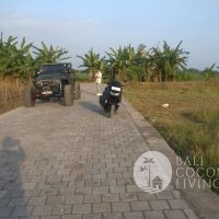 5 Are Land In Tabanan Gallery