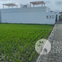Land 7 are, For rent  Gallery