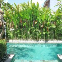 Villa Da Maria  Gallery