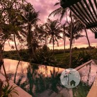 Villa Winter Delight Gallery