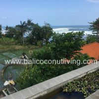 Finch Villa 2 Gallery