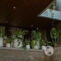 The Sattva Villa Gallery
