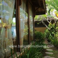 Villa Banana 1 Gallery