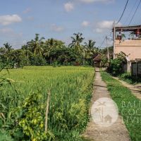 The Vintage House Gallery