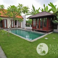 Villa Bagus Gallery