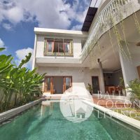 Villa Pineapple 2 Gallery